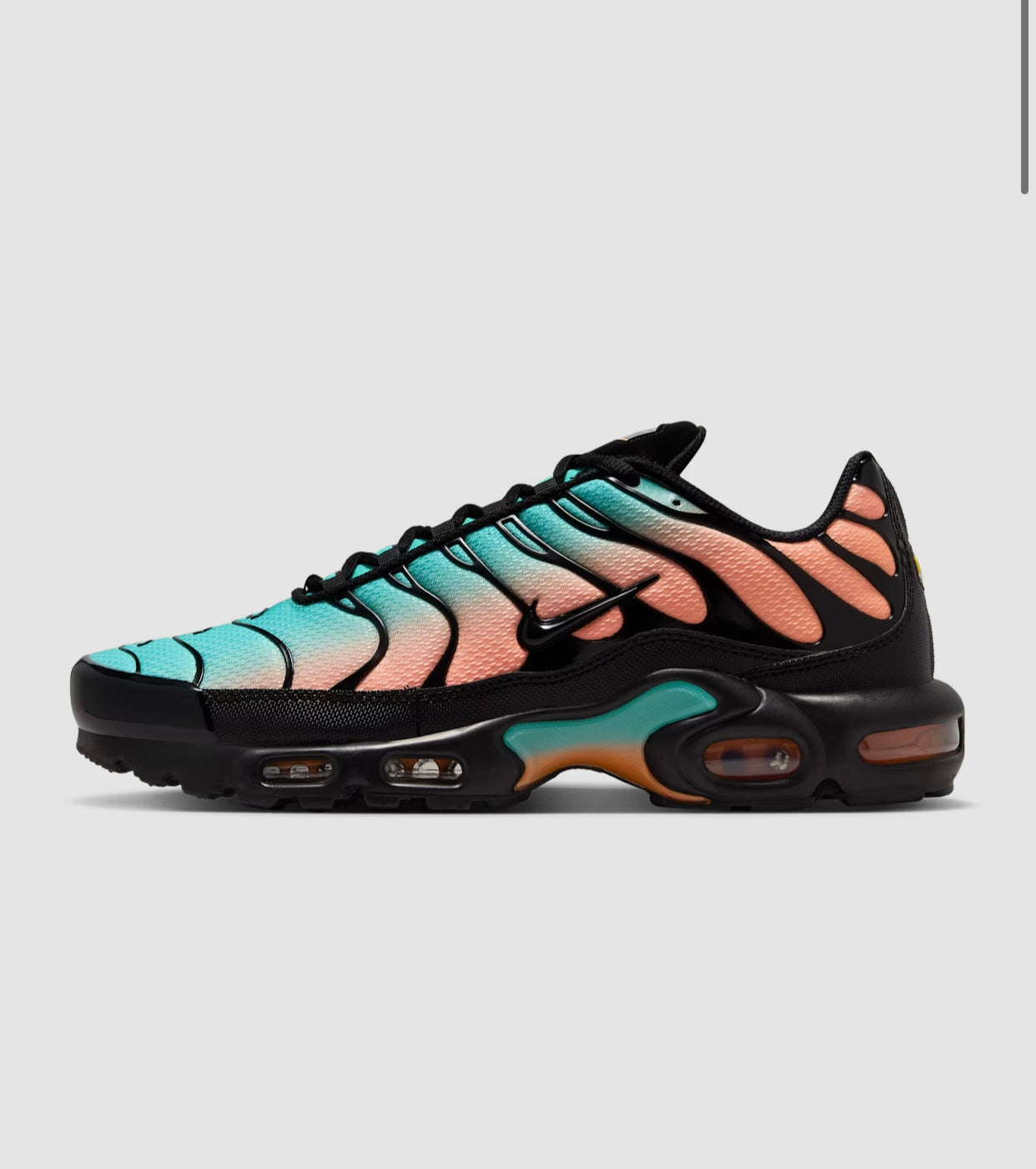 Nike Air Max Plus